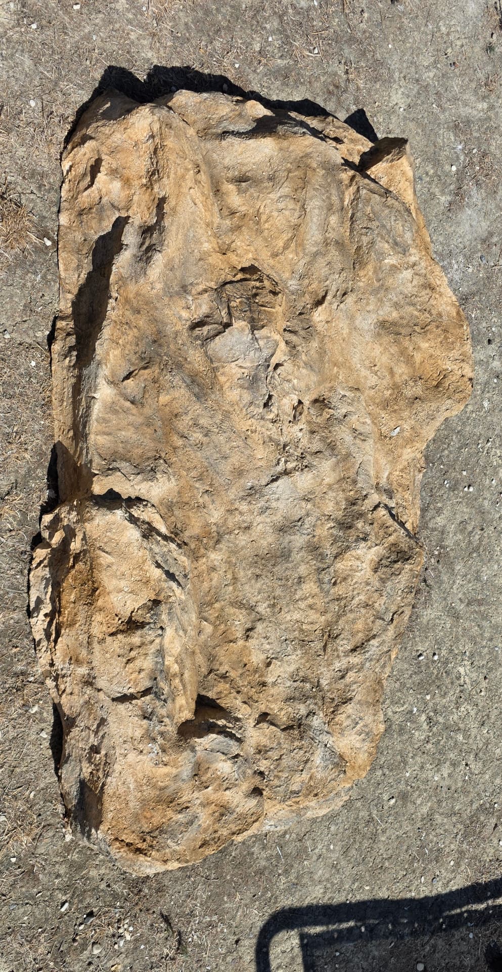 Bloc rocheux polyester réf. 2502 vu du dessus, reliefs et forme générale du modèle