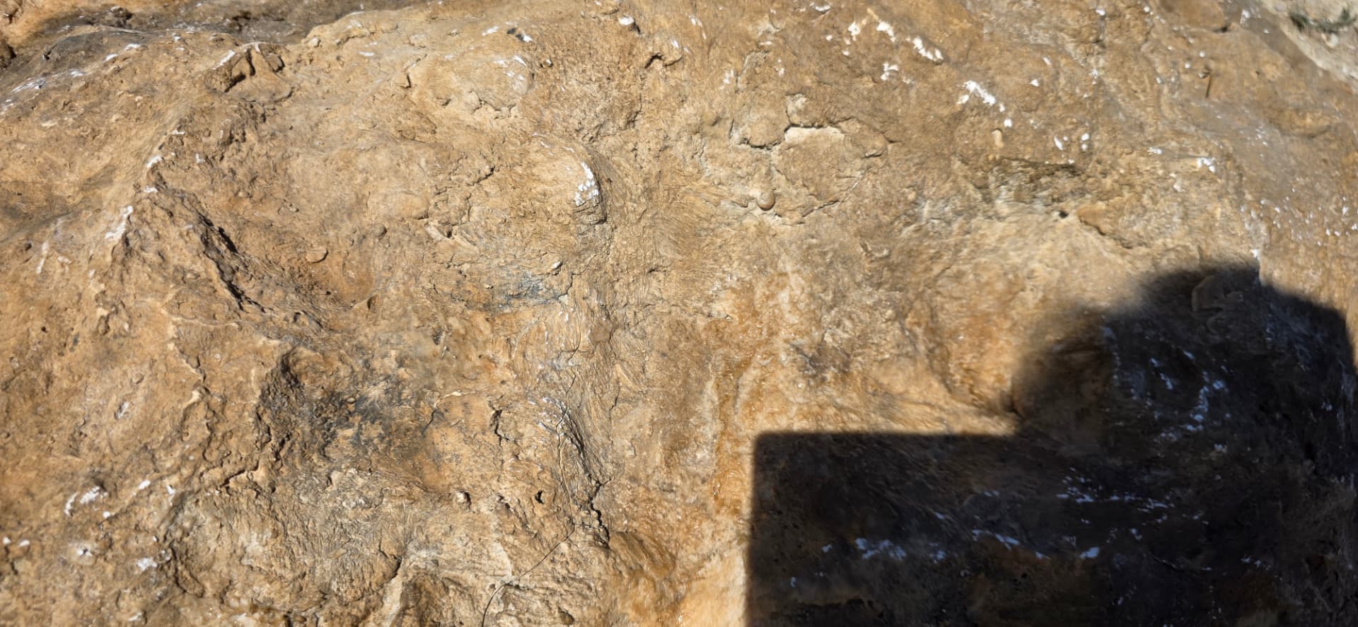 Bloc rocheux polyester réf. 2507, gros plan sur la texture et la patine de la surface