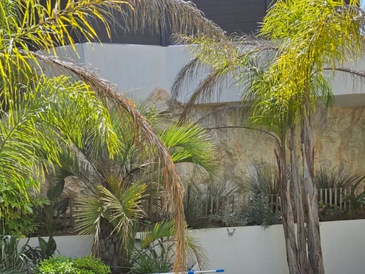Decorative faux rocks: a natural touch for your gardens and landscaping – Poly Rock Concept blog article on faux rocks and decorative rock features